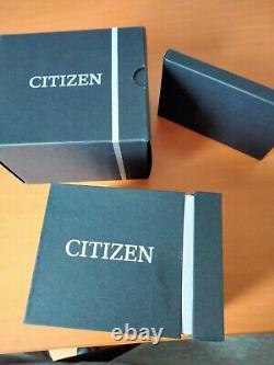 Citizen Promaster NY 0085