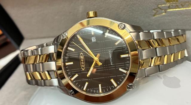 Montre Hommes Esbm Automatique Massif Inox 3bar 42mm Classique Plancher Bi-color