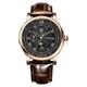 Montre Mécanique En Cuir Étanche Pour Homme, Montre-automatique, Phase De Lune